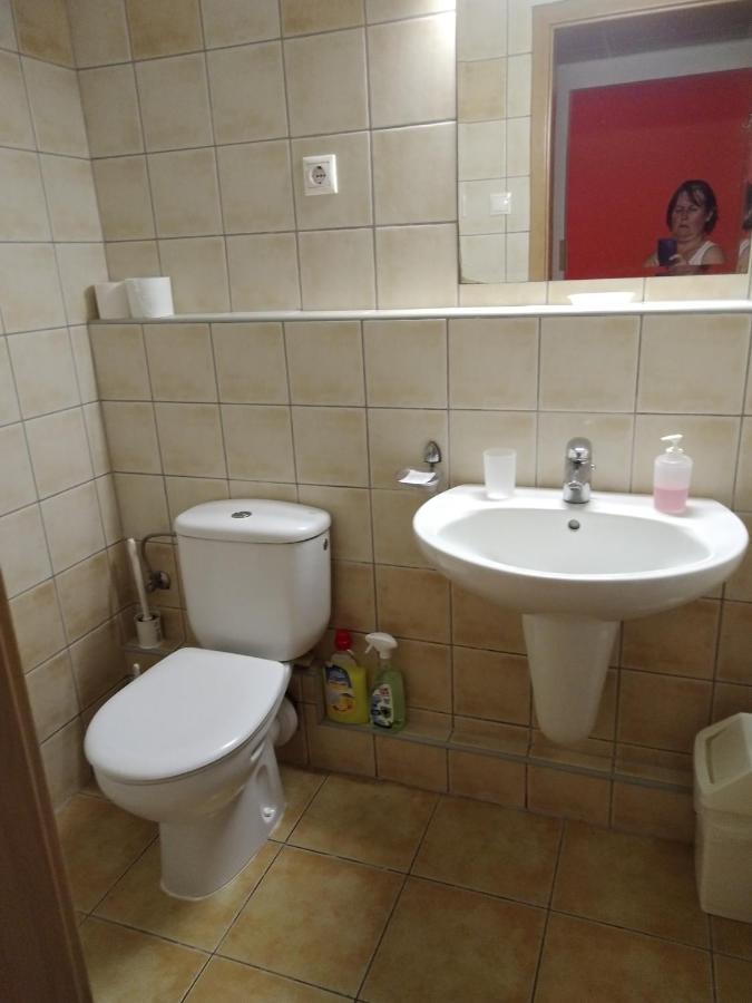 ザラカロシュViola Wellness Apartmanアパートメント エクステリア 写真