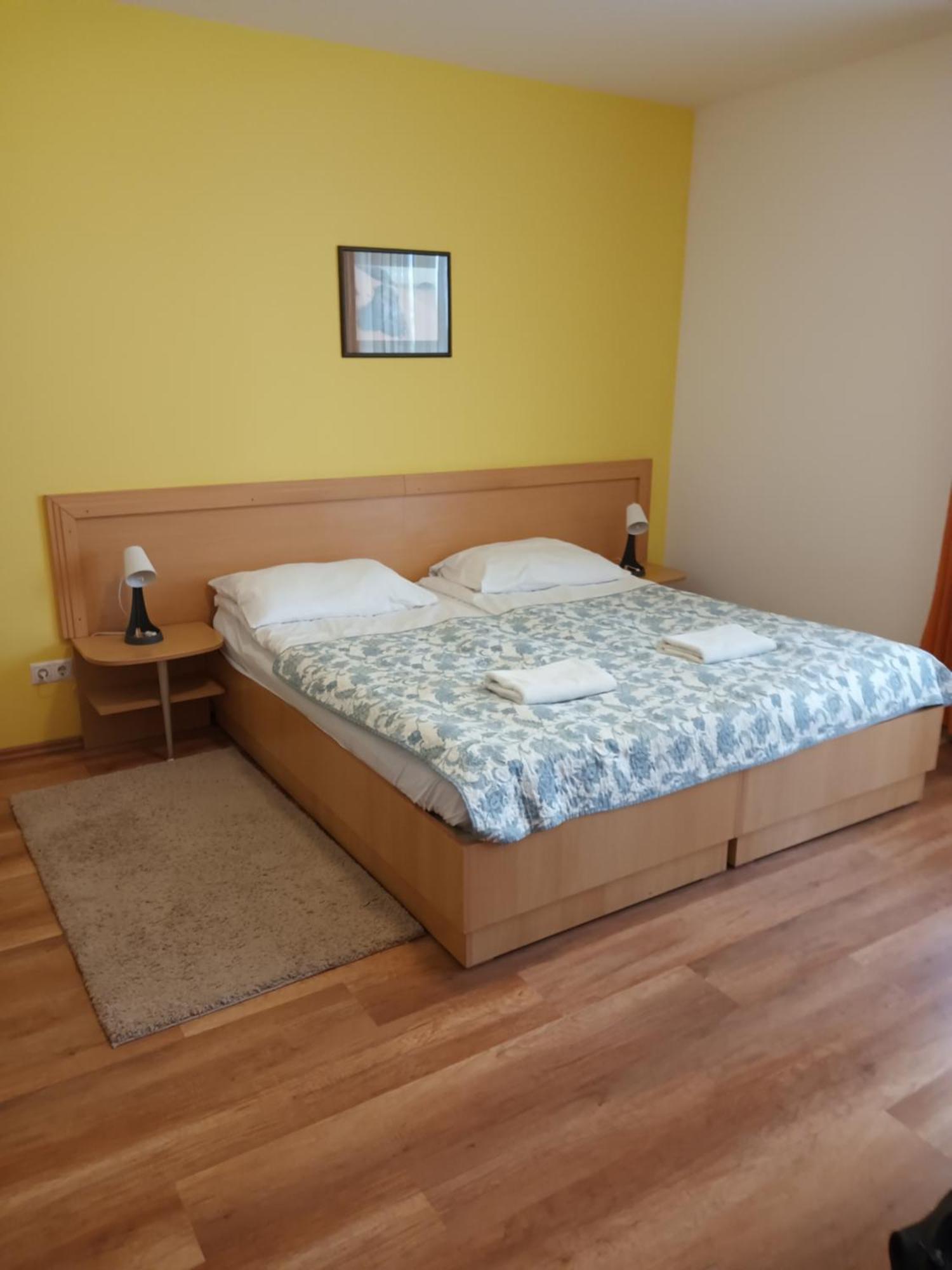 ザラカロシュViola Wellness Apartmanアパートメント エクステリア 写真