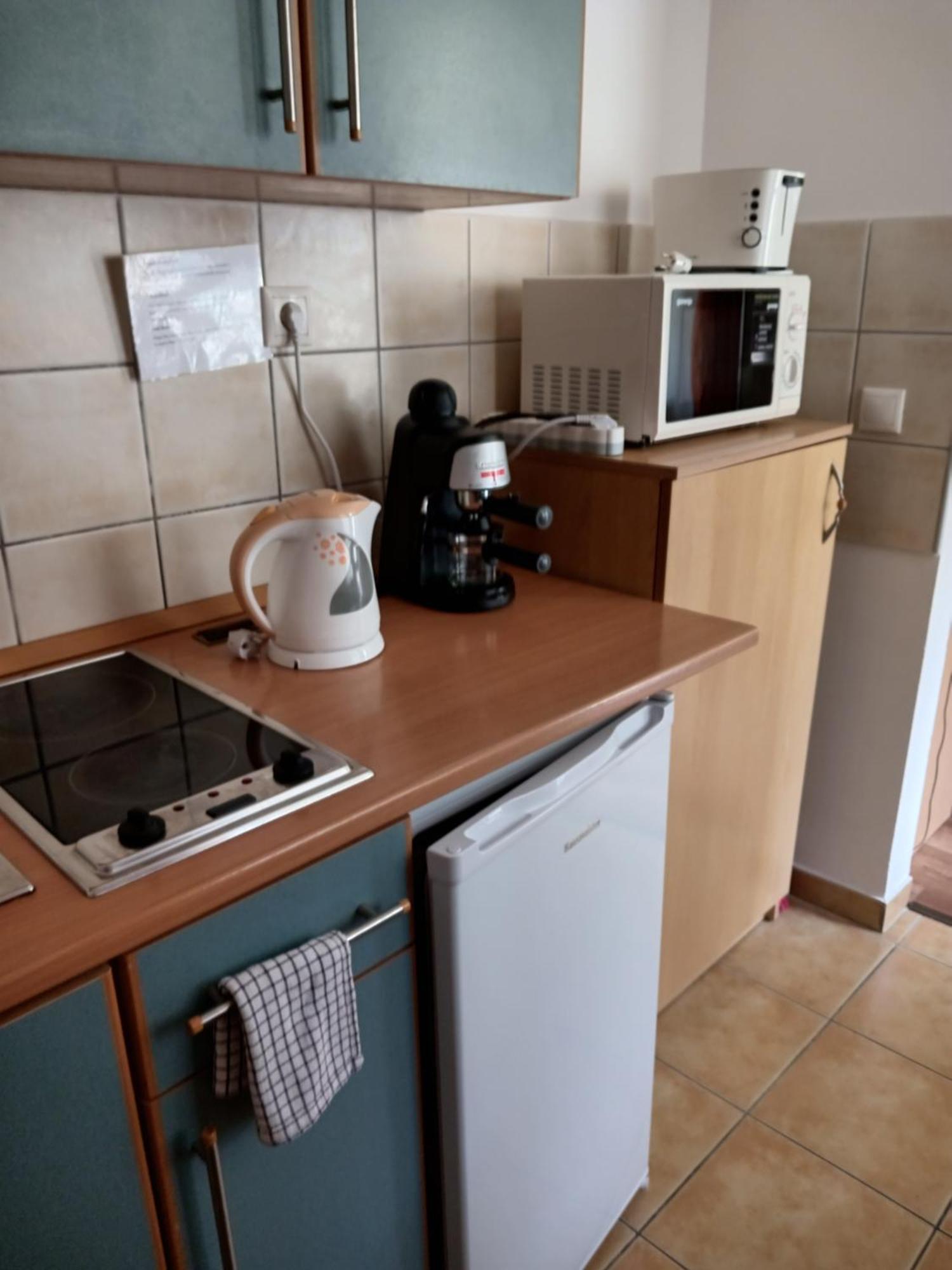 ザラカロシュViola Wellness Apartmanアパートメント エクステリア 写真